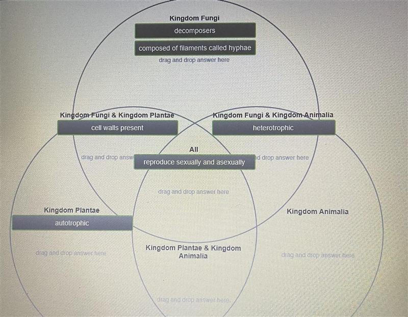 Classifying Some Eukaryotes Listed in the Item Bank are some key terms and expressions-example-1