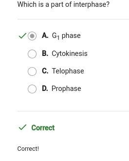 Which is a part of interphase? A. Prophase B. Telophase C. G, phase D. Cytokinesis-example-1