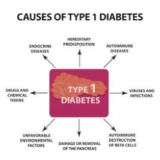 Record two or more causes of type 1 diabetes-example-1