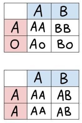 I can’t not solve this please helppp!!-example-1