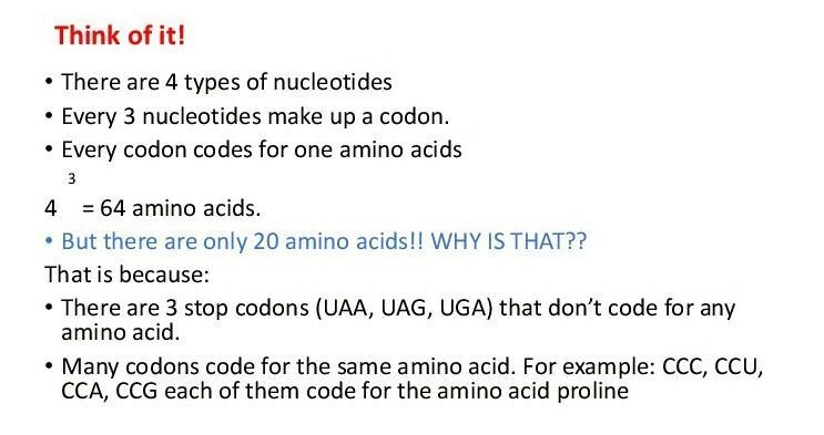 If DNA code consists of only four nitrogenous bases, how can it produce so much variety-example-1