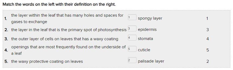 Match the words on the left with their definition on the right. 1 . stomata the layer-example-1