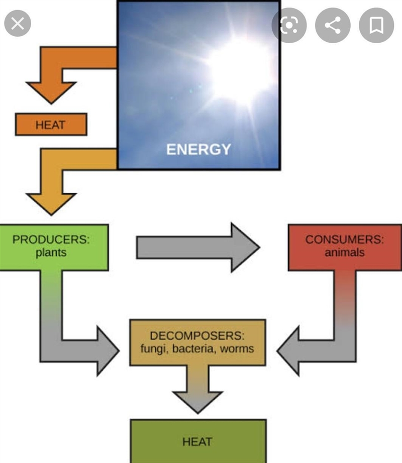 How is energy produced in the sun? Draw a diagram to explain the processes.-example-1