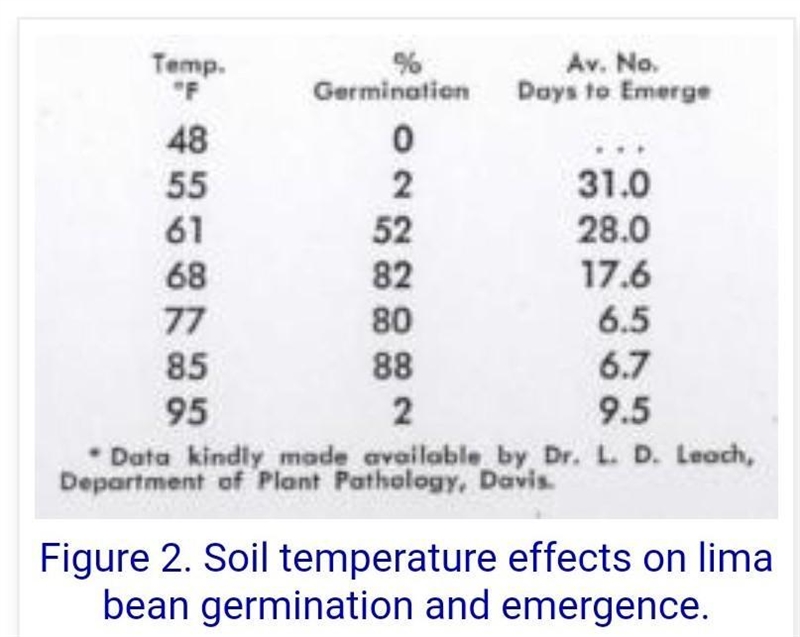 [LONG ANSWER] Two groups of cloned seeds from a lima bean plant are grown under two-example-1