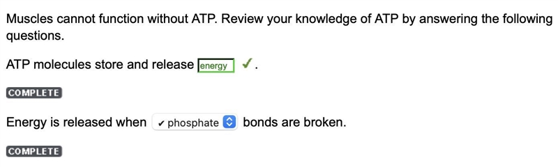 Muscles cannot function without ATP. Review your knowledge of ATP by answering the-example-1