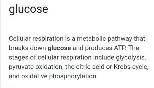 Which energy molecule is broken during cellular respiration to produce ATP-example-1