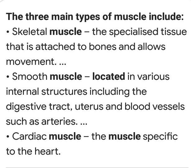 WHERE ARE THE THREE TYPES OF MUSCLES FOUND?-example-1