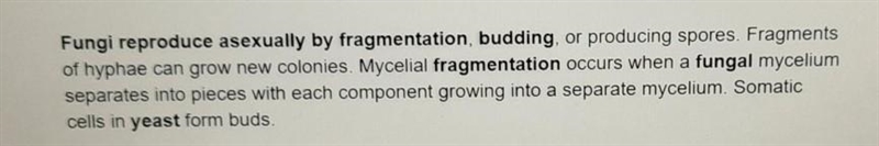 How do fungi reproduce asexually by budding????-example-1