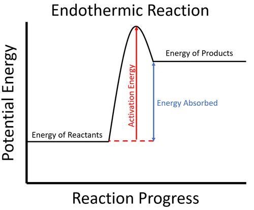 Biology 1.....................................................................-example-1