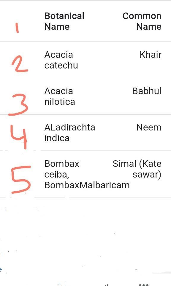 Mention 10 forest trees and their botanical names with their uses​-example-1