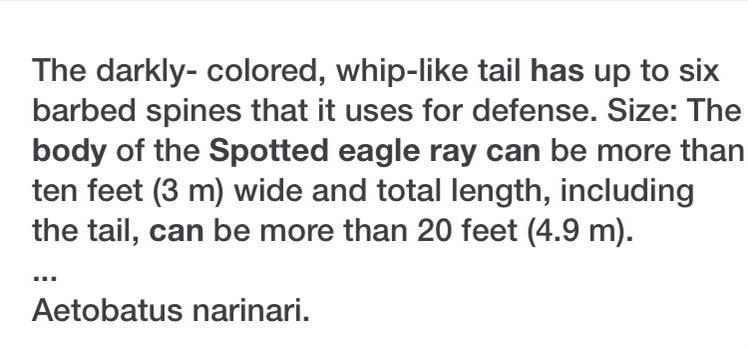 How many body parts does a Spotted eagle ray have?-example-1