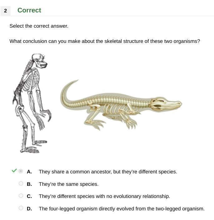 Select the correct answer. What conclusion can you make about the skeletal structure-example-1