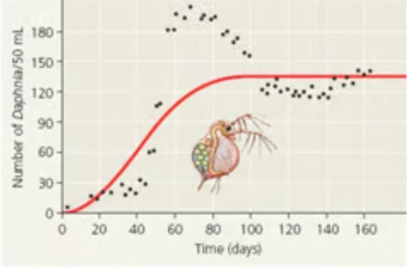 What is the daphnia carrying capacity of this population-example-1