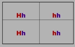 Can you create a punnett square for this question?-example-1