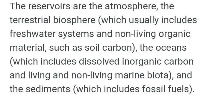 Where are 5 different locations where carbon can be found in the cycle-example-1