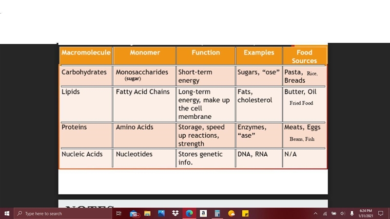 What are the building blocks of carbohydrates? amino acids monosaccharides glycerol-example-1