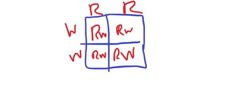 A researcher crossed the F1 generation of a red snapdragon plant and white snapdragon-example-1