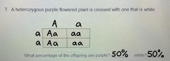 A heterozygous purple flowered plants is crossed with one that is while.-example-1