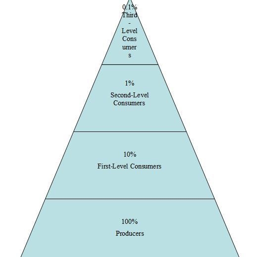 How much energy is lost at each level or organization-example-1