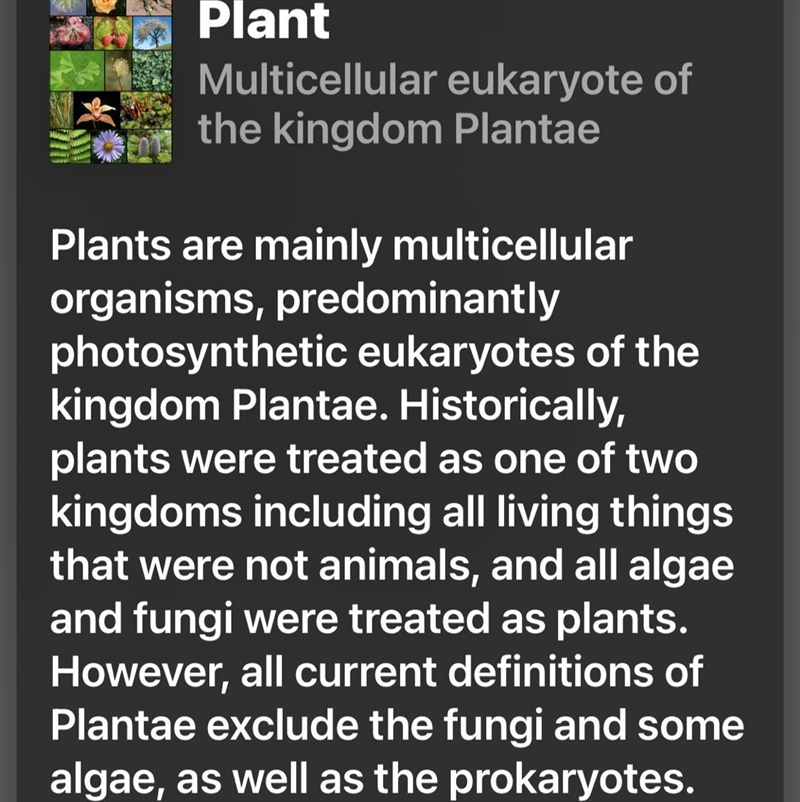 What makes a plant a plant? 1. Multicellular 2. Eukaryotic 3. Photosynthetic 4. __________________ I-example-1