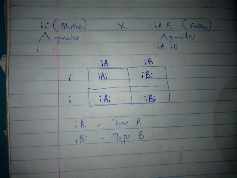 What are the possible phenotypes of the children if the mother has Type O blood and-example-1