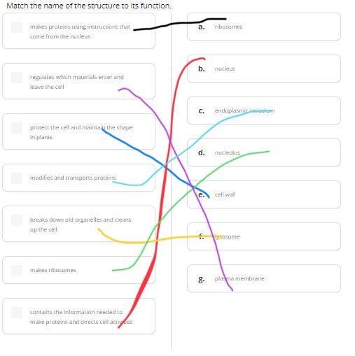 Match the name of the structure to its function.-example-1