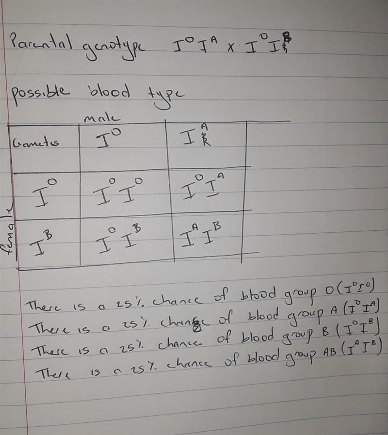 13. A man who has type A blood whose dad had type O blood and a woman with type B-example-1