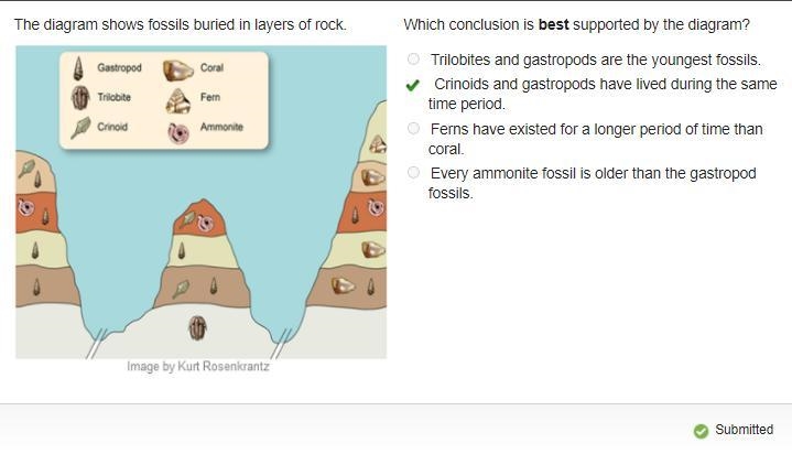 He diagram shows fossils buried in layers of rock. Which conclusion is best supported-example-1