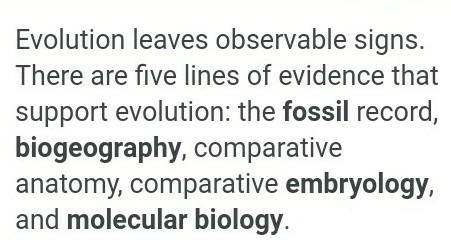 The evidence of Evolution are....-example-1