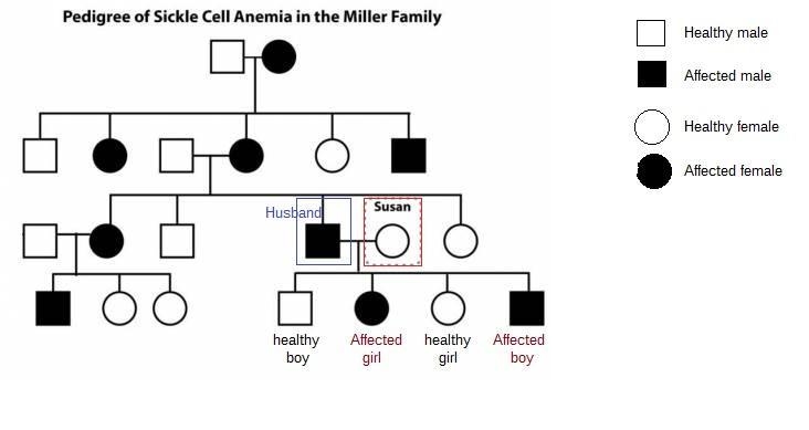 The pedigree shown here presents information about the instances of sickle cell anemia-example-1