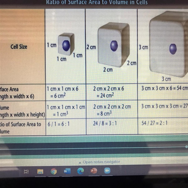 Two cells have surface area to volume ratios of 1:1 and 5:1. Which one has the ability-example-1