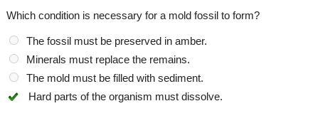 Which condition is necessary for a mold fossil to form? The fossil must be preserved-example-1