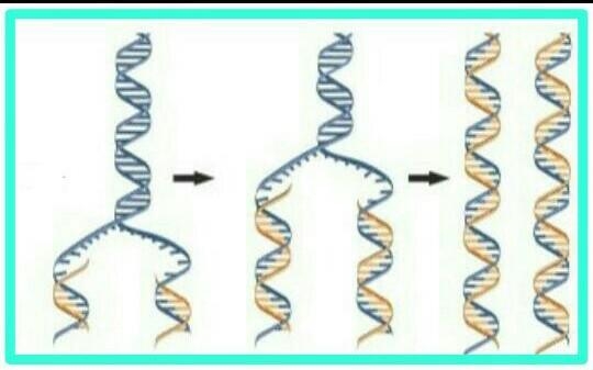 Based on this model, which process is currently taking place and wh at does the process-example-1