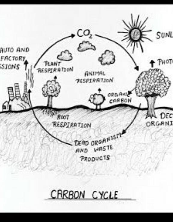 How many steps are in the scientific method? 2. What are the steps in the scientific-example-1