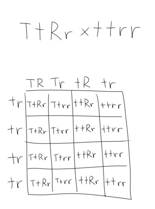 In tomatoes, tall vine (T) is dominant to dwarf vine (t), and red fruit (R) is dominant-example-1