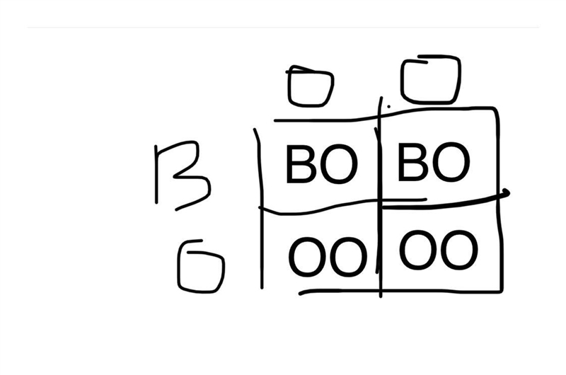 4. A type B woman whose mother was type O marries a type O man. What will be the possible-example-1