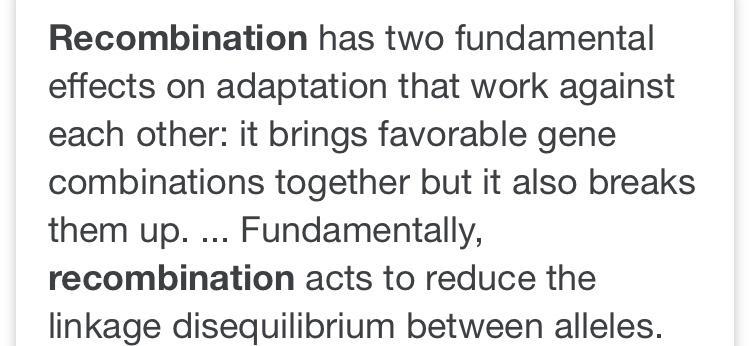 Why is recombination important to evolution-example-1