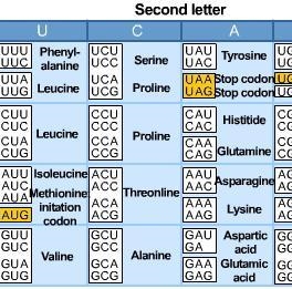 Fill in the boxes with the mutant DNA from the Normal DNA-example-1