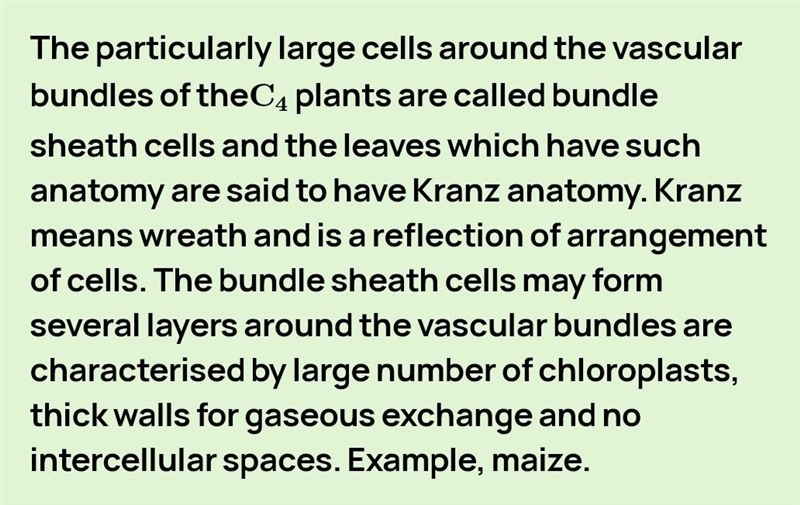 What is kranz anatomy in biology ?​-example-1