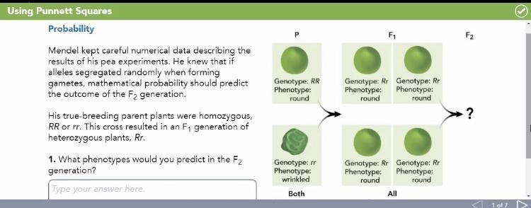 1. What phenotypes would you predict in the F2 generation?​-example-1