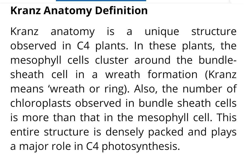 What is kranz anatomy in biology ?​-example-2