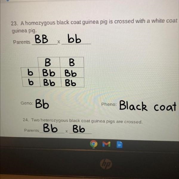 What do I put in the squares?-example-1