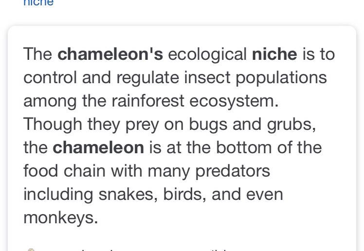 Why does a chameleon have a broad niche? explain PLEAEEEEEE NEED HELP ASAP!!!!!!!!-example-1