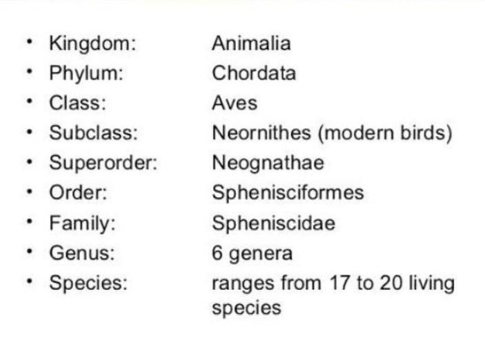 1) Write the characters of 'Penguin' with the help of classification chart. Classification-example-1