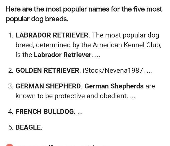 What are 5 different dog breeds-example-1