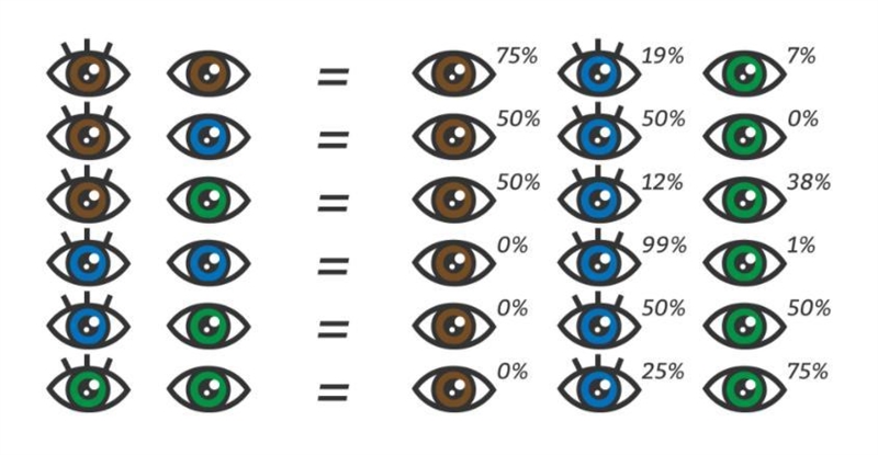 Two parents with brown eyes have given birth to a baby with blue eyes. Explain the-example-1