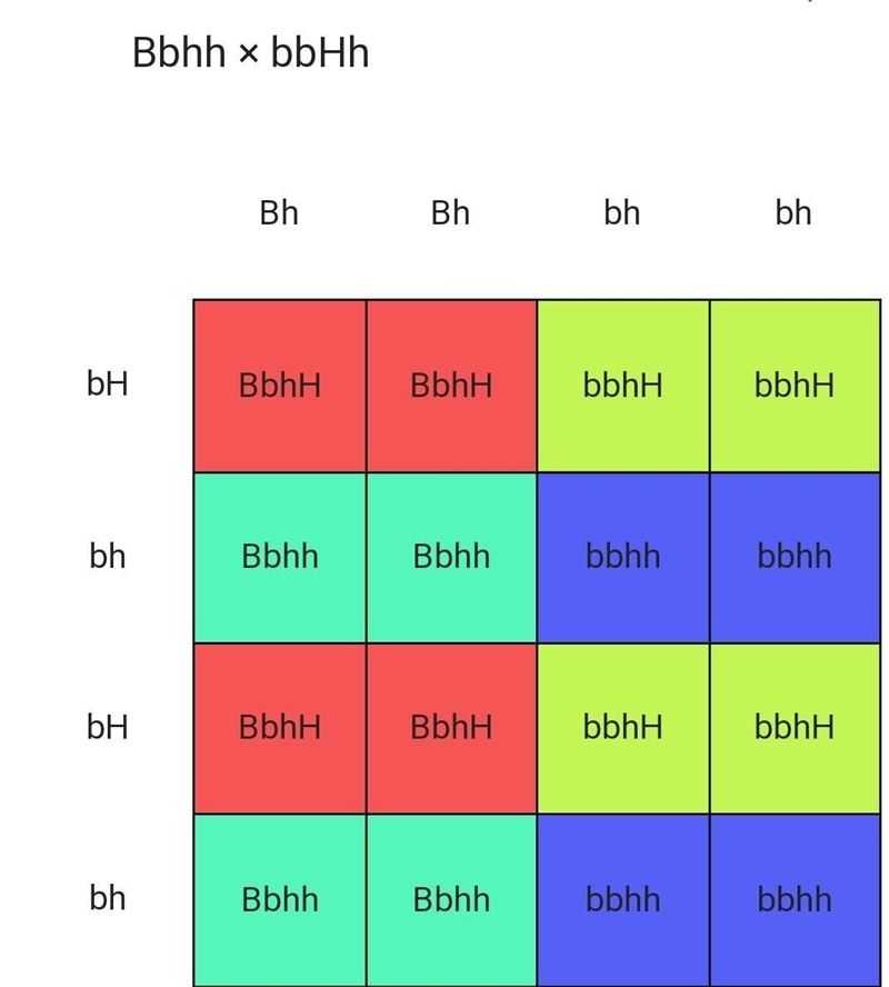 In humans, hair color and hair type are controlled by simple dominance. Brown hair-example-1