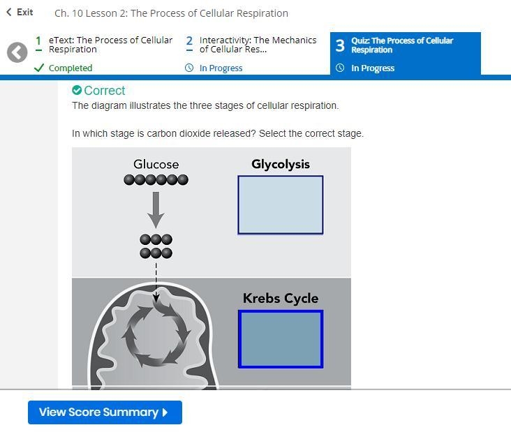 the diagram illustrates the three stages of cellular respiration. In which stage is-example-1