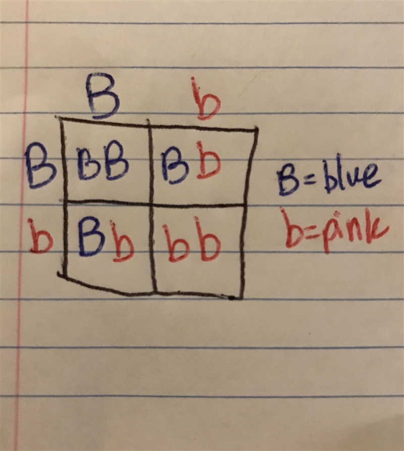 In a cross Bb x Bb (B = Blue petals and b = pink petals), how many offspring will-example-1