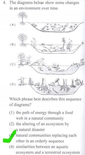 (10 points) The diagrams below show some changes in an environment over time. (A) (B-example-1